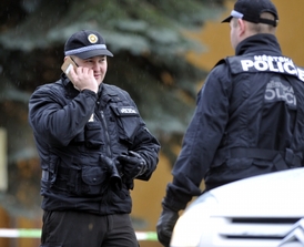 GIBS vytváří analýzu zásahu policistů v Uherském Brodě (ilustrační foto).