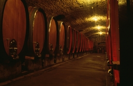 Majitelé vinice věří, že odrůdy vína, které dozrávají za zvuku hudby, mají lepší chuť a jemnější aroma (ilustrační foto).