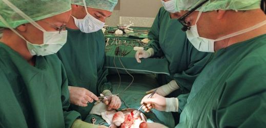 Čeští lékaři provedou unikátní párovou transplantaci ledvin (ilustrační foto).