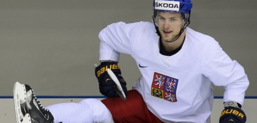 Hokejový útočník Vladimír Sobotka by v nominaci na mistrovství světa pravděpodobně neměl chybět.