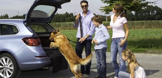 Prodejům nových vozů rodinám dominují značky Škoda a Hyundai (ilustrační foto).