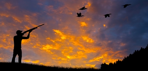 Milovníci tradičního lovu ptáků na Maltě těsně vyhráli (ilustrační foto).