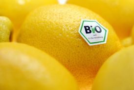 Zájmu o biopotraviny prý nahrává i trend farmářských trhů, prodejen či tzv. bedýnkových systémů.
