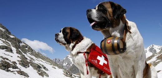 Švýcarsko přišlo o velké turistické lákadlo kvůli ochráncům zvířat (ilustrační foto).