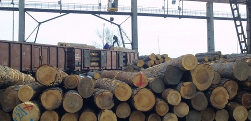 Lesnicko - dřevařská firma CE WOOD