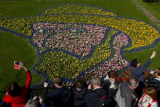 Portrét je vytvořen z desítek tisíc různobarevných tulipánů.