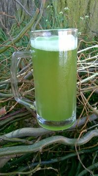 První zelené bylinkové pivo, které mohou návštěvníci ochutnat na akci Zelený máj.
