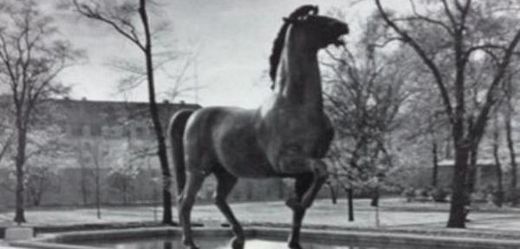 Socha koně od Josefa THoraka.