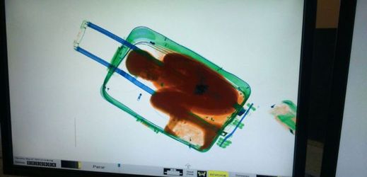 Chlapce pašoval v kufru jeho otec, aby ho dostal za matkou do Španělska.