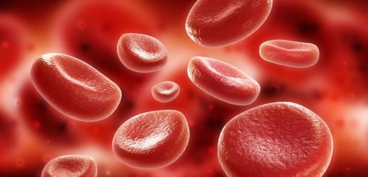 Nově objevená dědičná krevní nemoc se projevuje sníženým počtem krevních destiček (ilustrační foto).