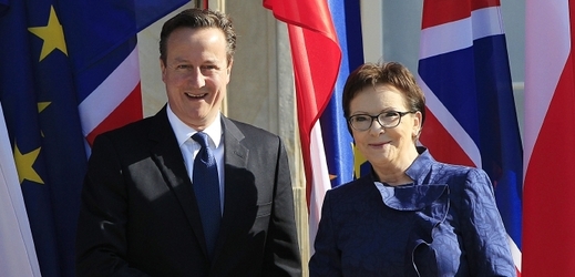 Polská premiérka Ewa Kopaczová s britský ministerský předseda David Cameron.