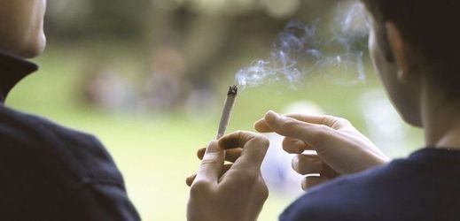 Kuřáků marihuany je v Česku zhruba 40 tisíc.