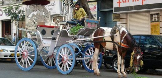 Kočáry tažené koněm jsou v Bombaji dlouhá léta turistickou atrakcí.