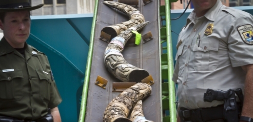 Na Times Square v demonstrativním boji s pytláky byla zničena tuna slonoviny.
