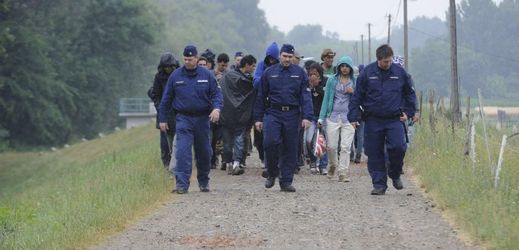 Maďarská policie vede skupinu uprchlíků.