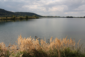 Pivní slavnosti se konají na břehu Hlučínského jezera.