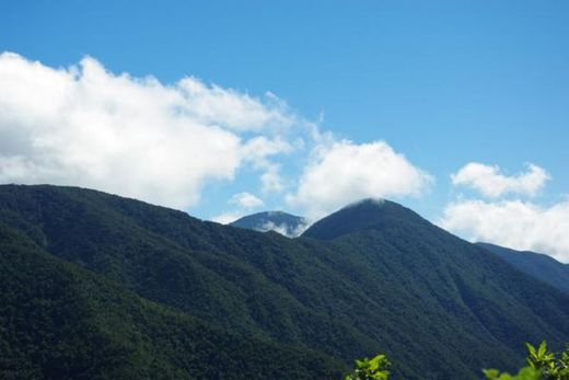 Pohoří Blue and John Crow Mountains na Jamajce.