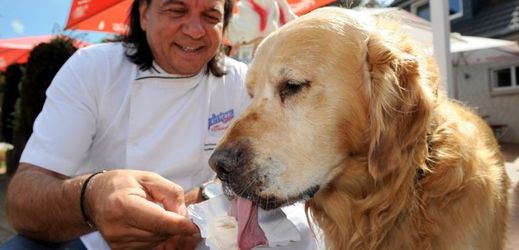 Zmrzlinář Leonardo Caprarese dává ochutnat svou psí zmrzlinu konečnému zákazníkovi.