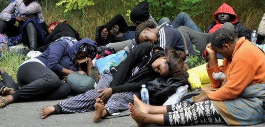 Česko chce do roku 2017 přijmout 1500 uprchlíků (ilustrační foto). 