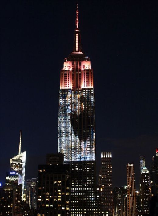 Cecilovu památku uctil i newyorský Empire State Building.