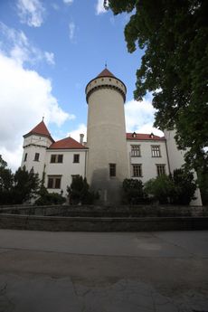 Na zámku Konopiště chovají v příkopu medvěda Jiříka.