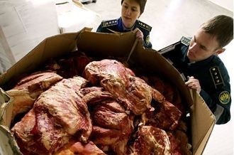 Ruští celníci kontrolují dovážené maso.