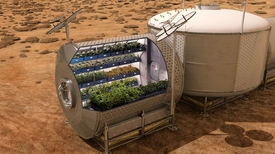 Takhle nějak by mohly vypadat salátové zahrádky v koloniích na Marsu.