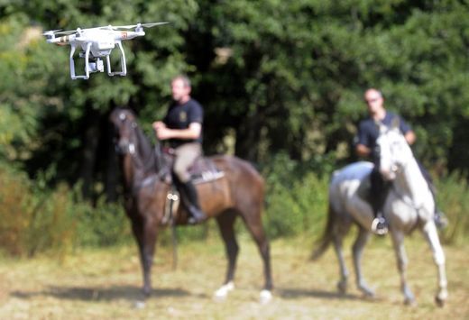 Napoprvé se prý zvíře dronu bojí.