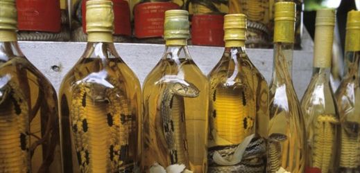 Hadí víno je tradiční nápoj vyráběný v Jihovýchodní Asii.