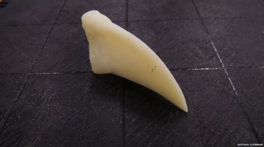 Plastová protéza zobáku z 3D tiskárny.