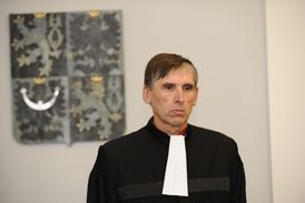 Soudce Ústavního soudu Ludvík David.