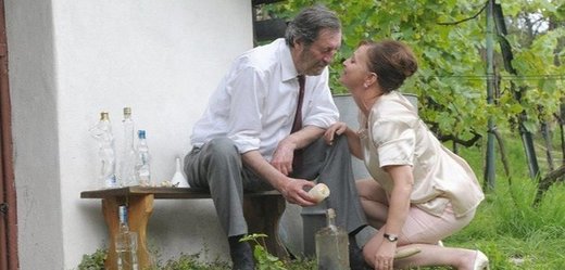 Hlavní role ve filmu "Domácí péče" ztvárnil Bolek Polívka a Alena Mihulová.