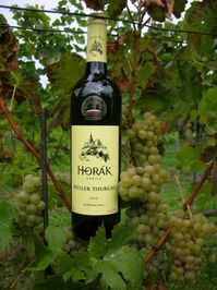 Vinařství Horák má v publikaci čtyři vzorky vína.