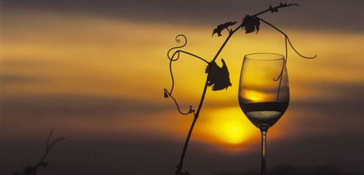 Publikace 1000 Vins du Monde sdružuje nejlepší vína světa.