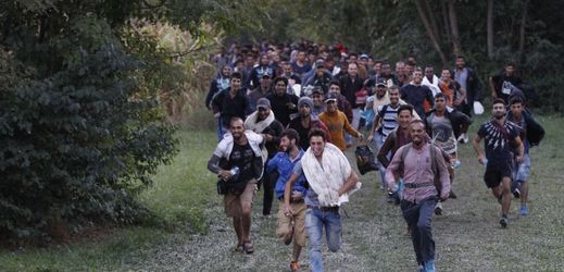 Migranti právě přeběhli maďarsko-chorvatskou hranici.