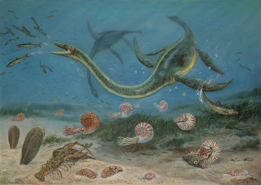 Mělké křídové moře Antarktidy s elasmosauridním (Plesiosauria) ještěrem. Svrchní křída, cca 78 milionů let.