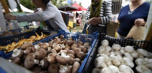 Houbařská sezóna není zdárná, stále se ale houby dají pořídit na trzích a v obchodech (ilustrační foto).