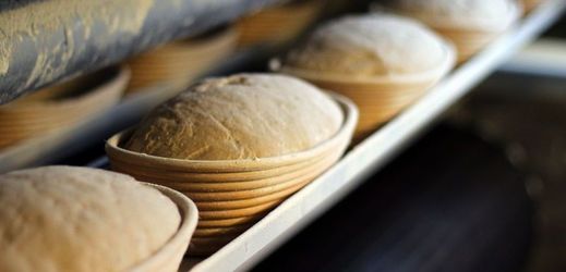 První zmínky o chlebu pocházejí již z neolitu, kynutý chléb se zrodil v Egyptě.