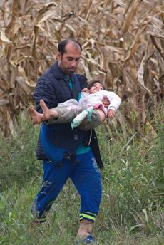Muž nesoucí dítě z pole před odjezdem z tábora Opatovac k hranici s Maďarskem (ilustrační foto).