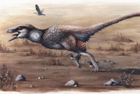 Nový dinosaurus Dakotaraptor steini.