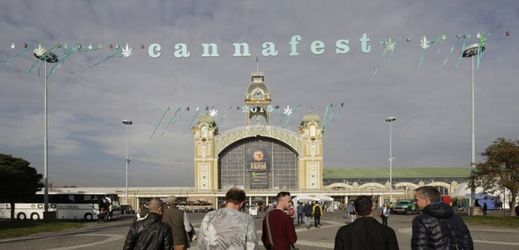 Cannafest 2015.
