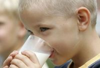 Ochucená a jogurtová mléka, která dostávají školáci, výrazně překračují doporučený obsah cukru.