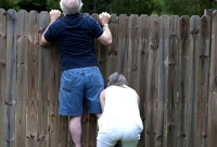 Přelézání plotu k sousedům je častým předmětem sousedských svárů (ilustrační foto).