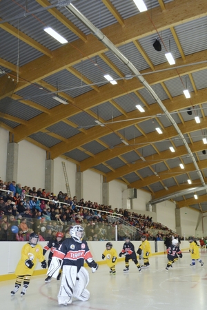 Malí hokejisté v hokejové hale.
