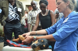 Momentka z panafrického setkání projektů ochranářských psů.