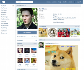 Ukázka profilové stránky komunitní sítě VKontaktě.