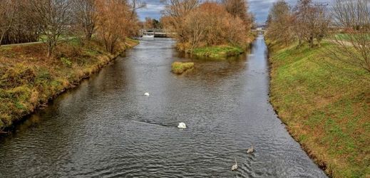 Řeka Svratka (ilustrační foto).