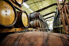 Whisky nezraje v lahvích, ale dřevěných sudech. Podle délky zrání se také určuje její stáří.