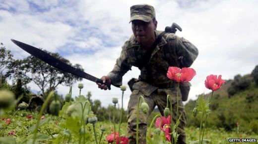 Drogové kartely v Mexiku mají pod kontrolou "trh" s heroinem, metamfetaminem, ale také s marihuanou.