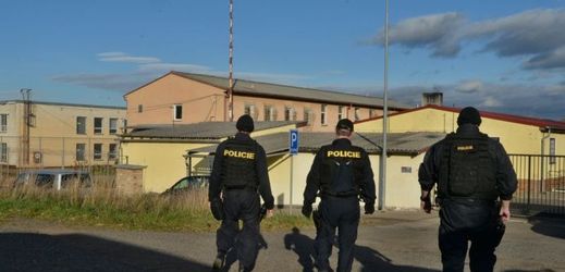 Policie zatím zadržela na území ČR 8175 nelegálních uprchlíků.